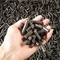 A madeira da biomassa do café da dupla camada granula a máquina 0.6mm 1500kgs/H