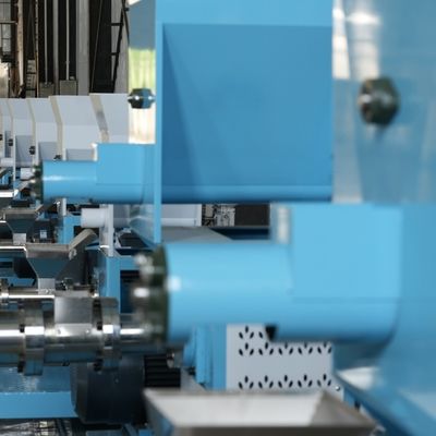 Máquina pequena de flutuação do granulador da alimentação da máquina do alimento de peixes das auto aves domésticas do controle 380V