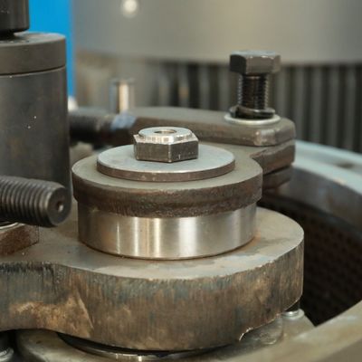 Aço Wearable antiferrugem de madeira da máquina 0.2t/H das pelotas de Biomas da alimentação das aves domésticas de MIKIM