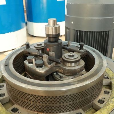 Pelota plástica do combustível biológico do bagaço da alfafa que faz a máquina 5000kg/H 2mm