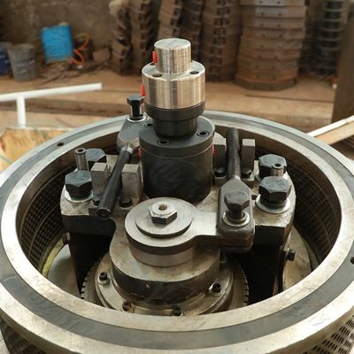 A madeira do eucalipto do combustível granula a máquina Ring Die vertical 3t/H