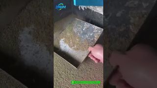 Moinho de pelotização para alimentação de camarão | Demonstração de produção de produto acabado de fábrica#máquina de pelotização de alimentação